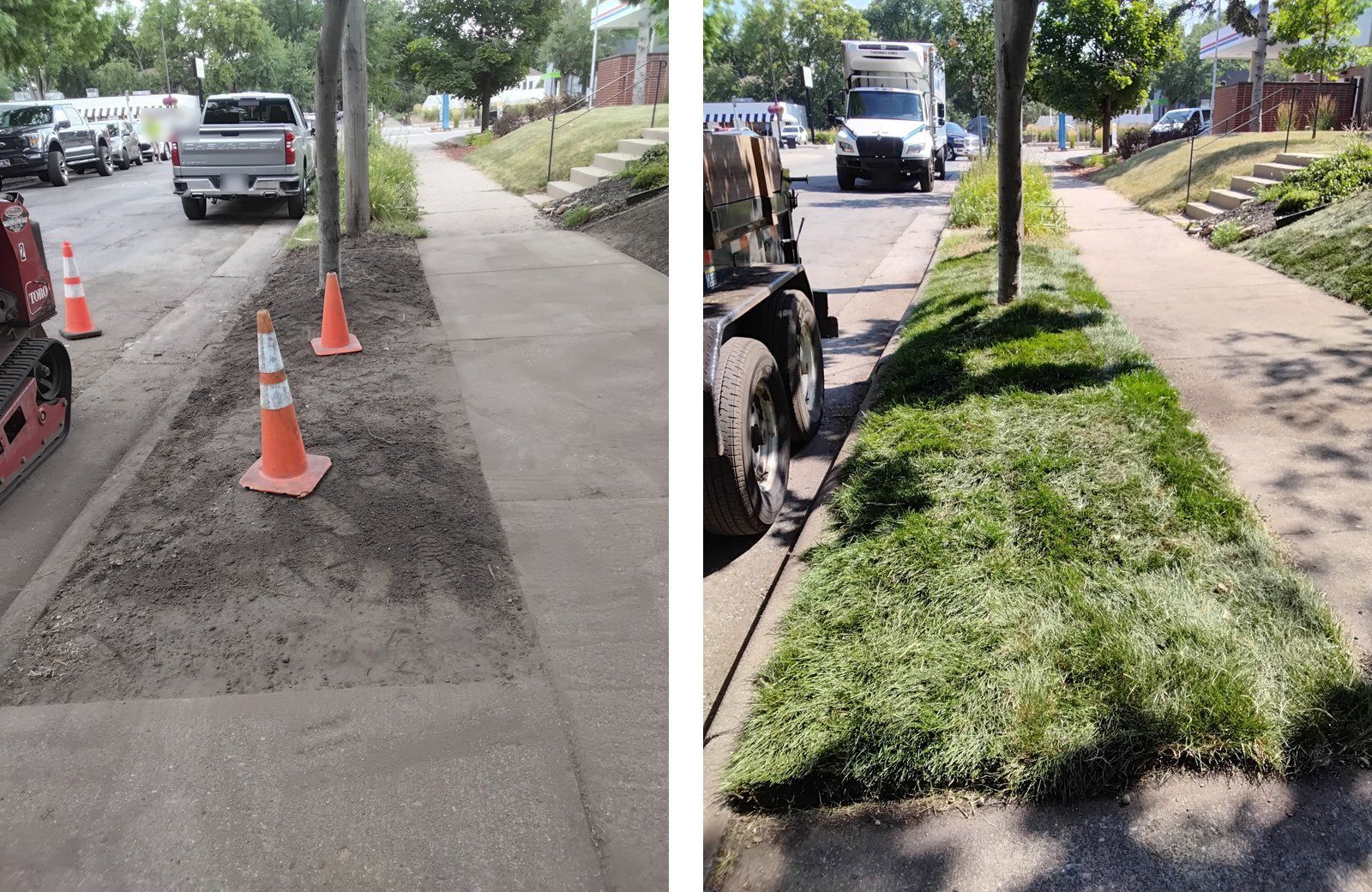 A Minneapolis boulevard prepped for sod, and the same strip after new sod was laid from sidewalk to curb