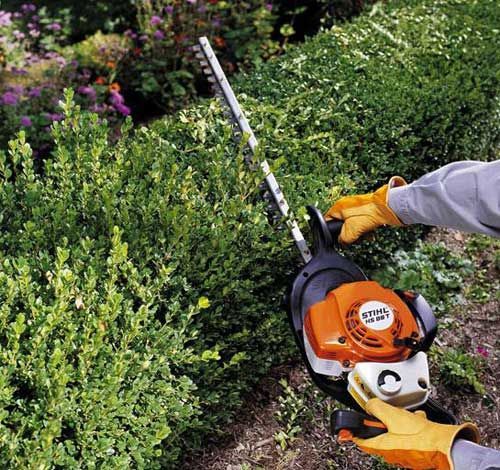 Person using a Stihl hedge trimmer to trim a green bush in a garden.