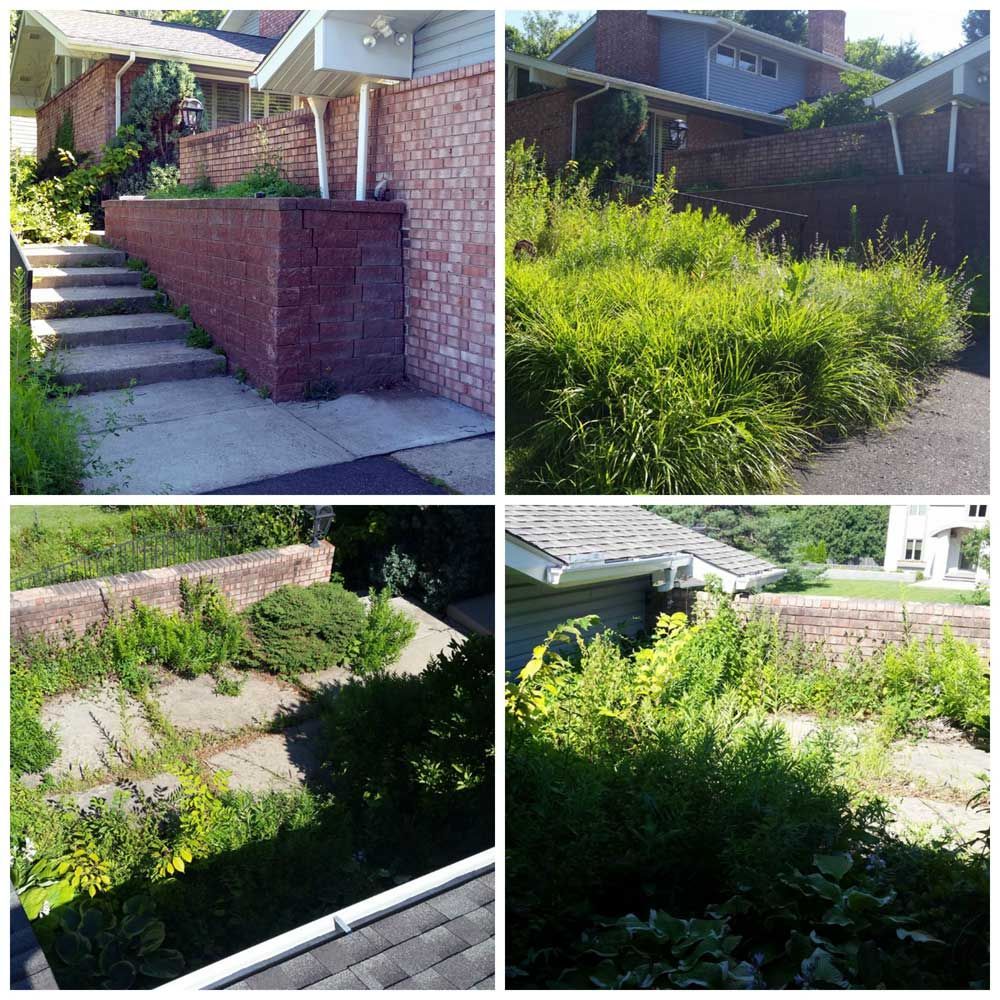 Four photos show overgrown landscaping with brick walls, stairs, and concrete paths.