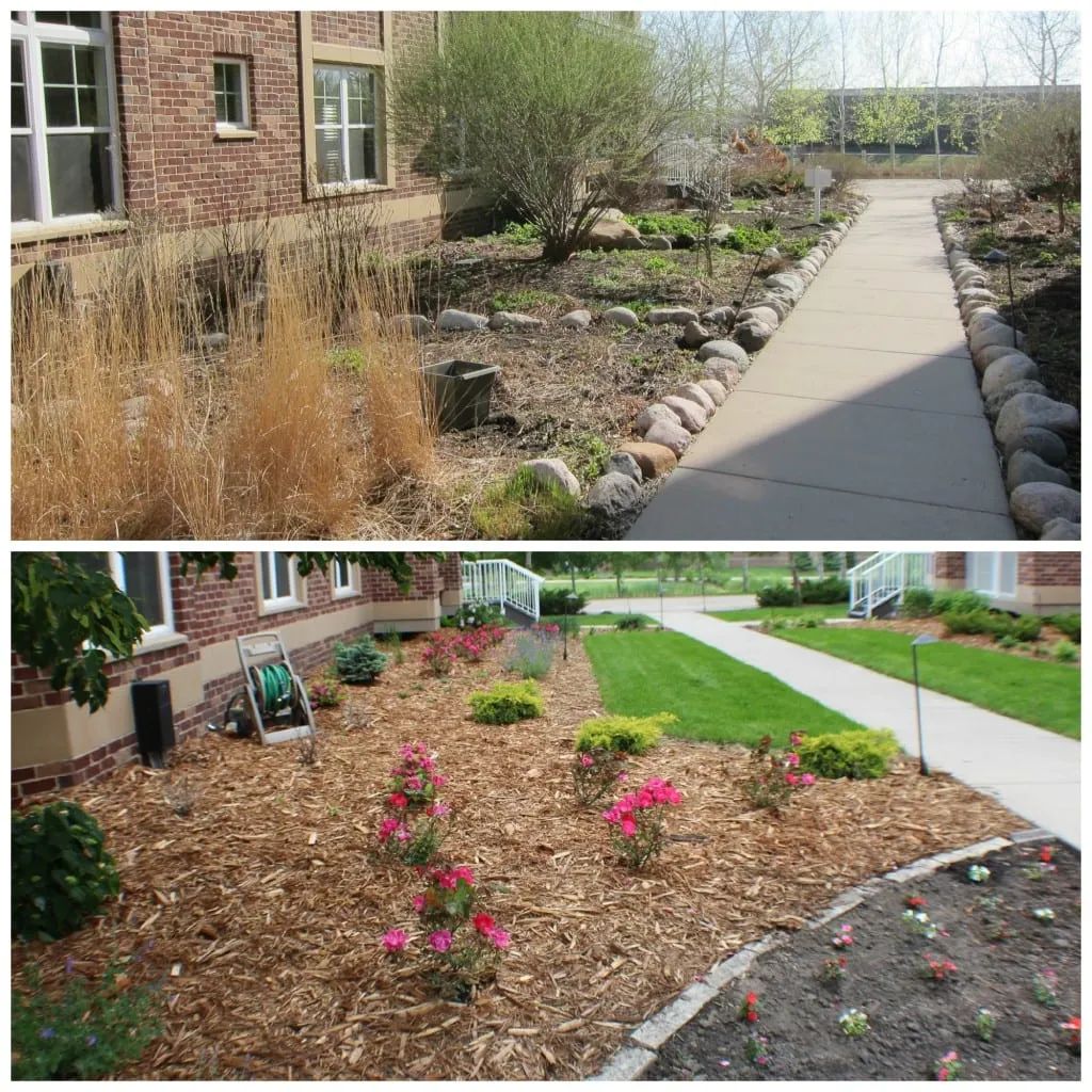 Before and after views of a landscaped garden bed with a pathway. The after photo shows new plants and mulch.