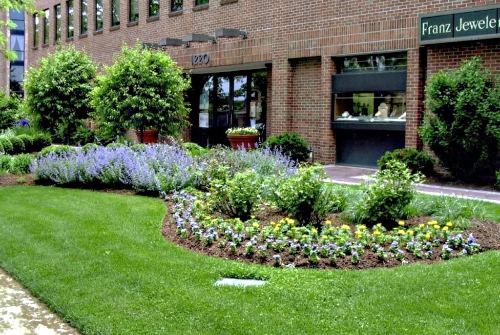 Landscaped garden bed in front of a brick building. Purple and green plants with manicured lawn.