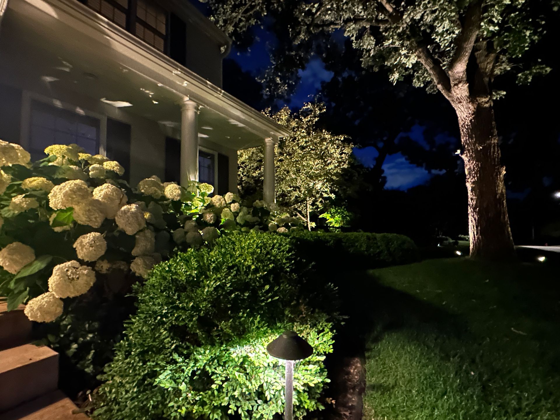 Night view of a house with illuminated landscaping, bushes, and a tree. Green grass and white flowers are visible.