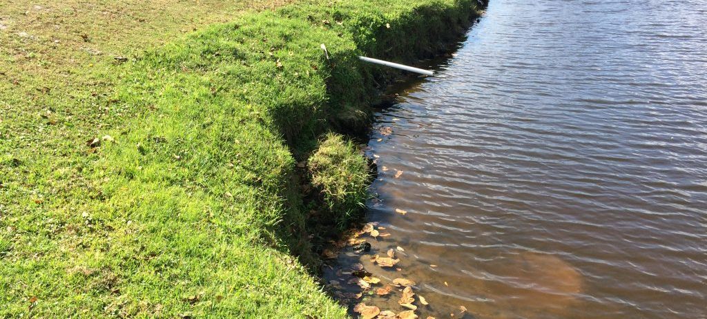 Lush green grass borders a body of water. Sunlight reflects on the rippling surface.