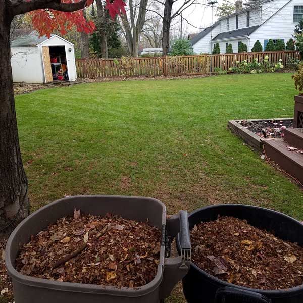 Two compost bins filled with leaves in a backyard with a shed, fence, and green lawn.