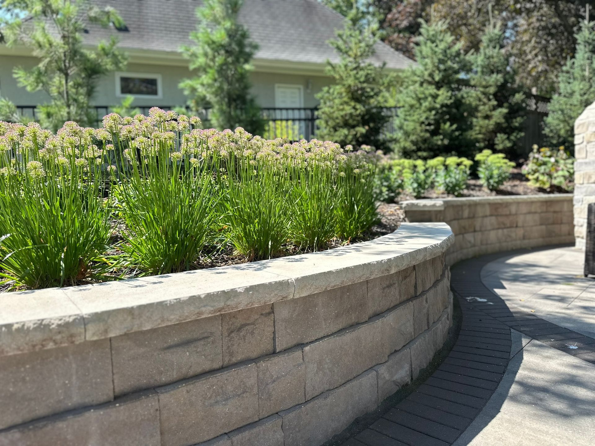 beautiful curved retaining wall next to a patio to adding seating with flowering allium in the bed space behind the wall  