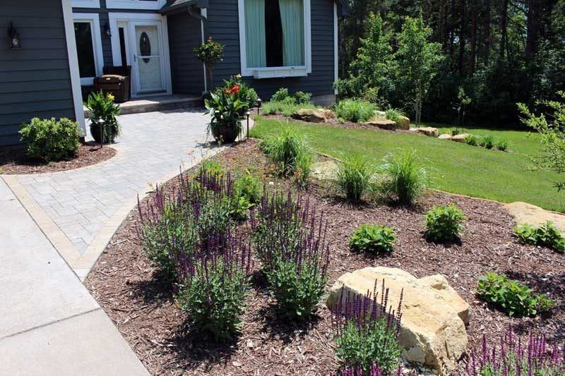Sloped front yard with curved paver walkway, boulder outcroppings, Tina crab tree, and purple salvia in Ham Lake MN