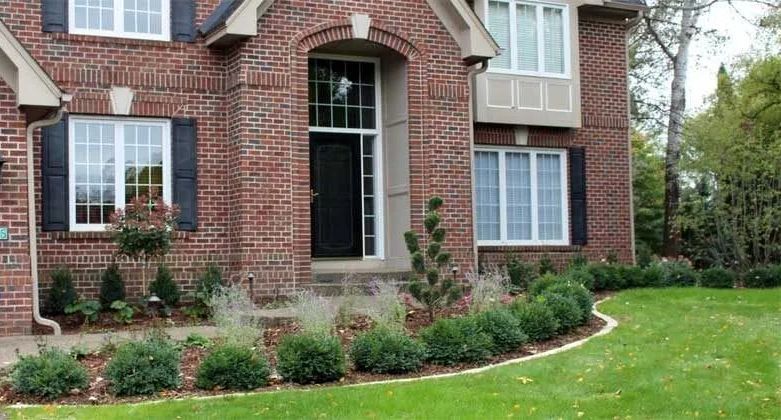 New front yard landscaping with boxwoods and a topiary evergreen focal point in Eden Prairie MN