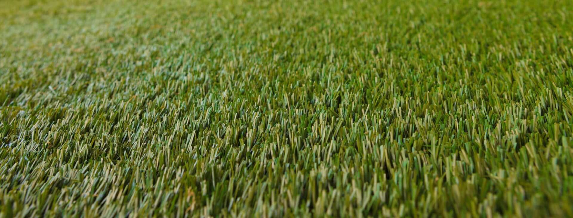 A close up of a field of green grass.