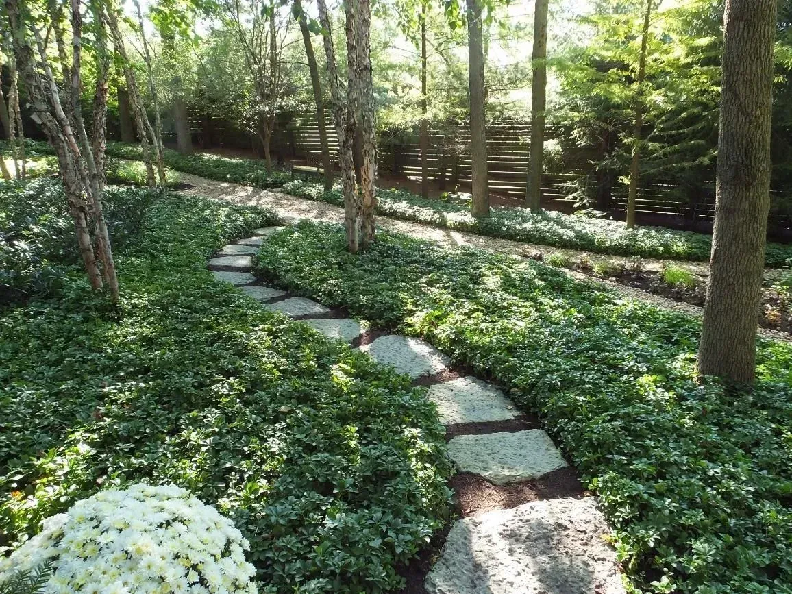 A stone path in the middle of a forest