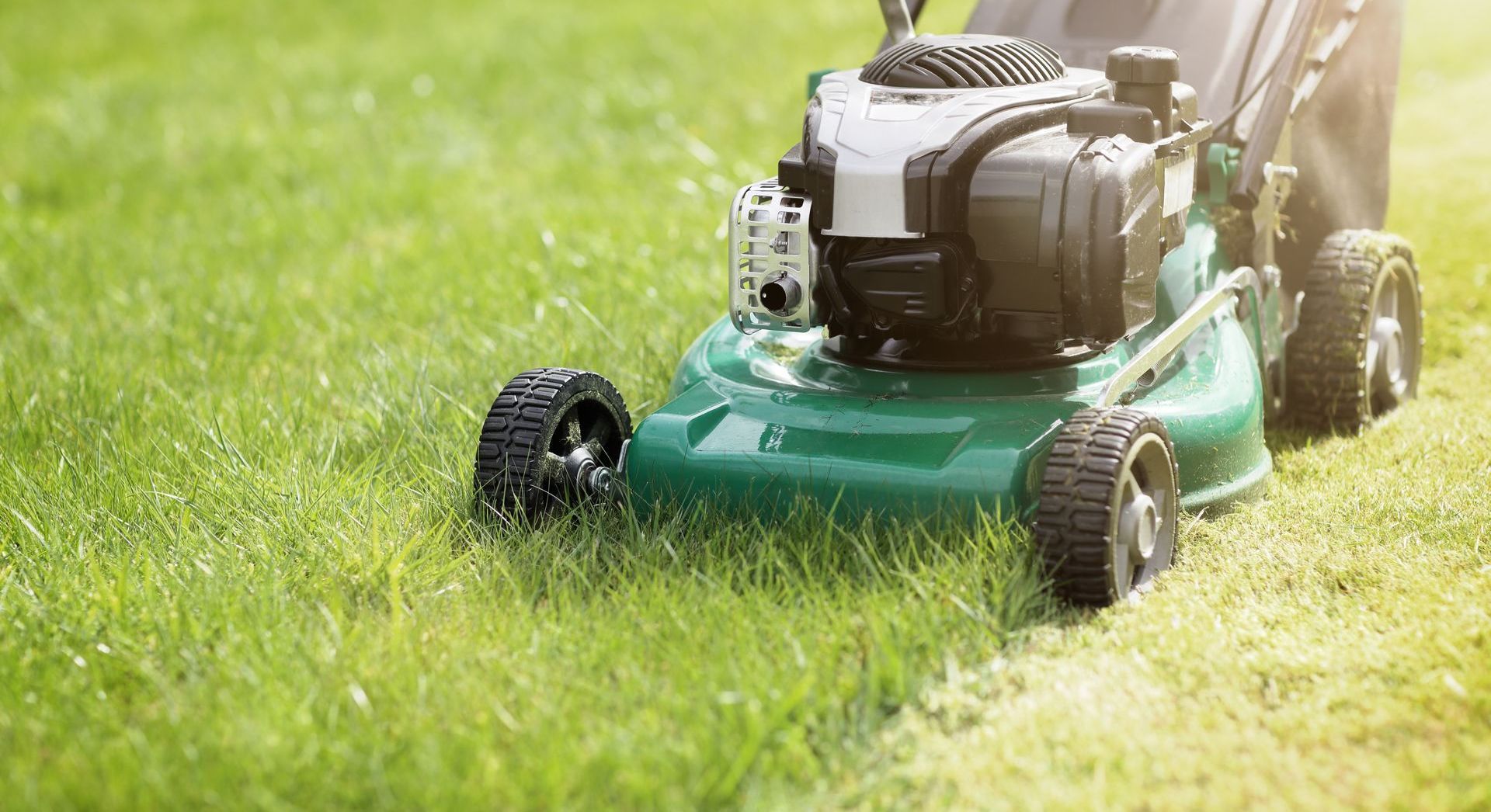 Green lawn mower cutting tall green grass.