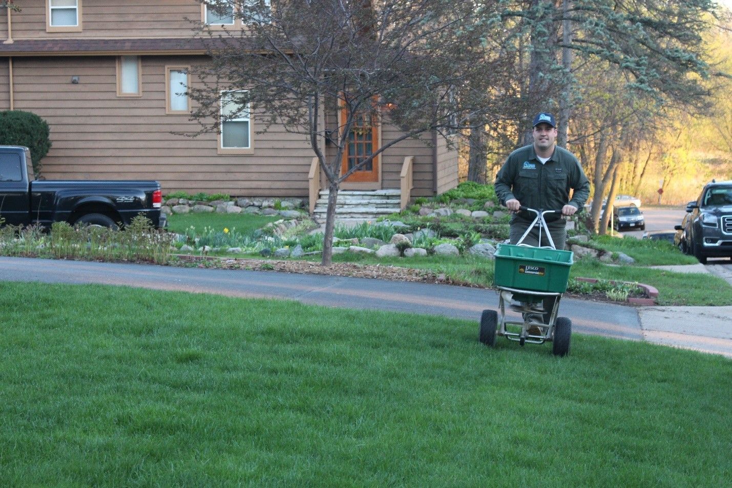 A man is spreading fertilizer on a lush green lawn.