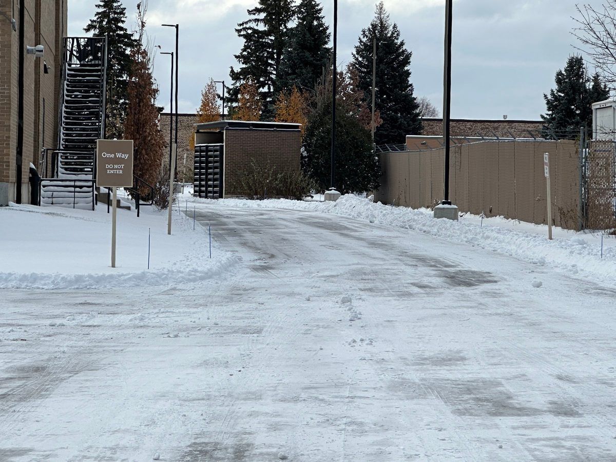 Plowed drive between buildings lined with evergreens