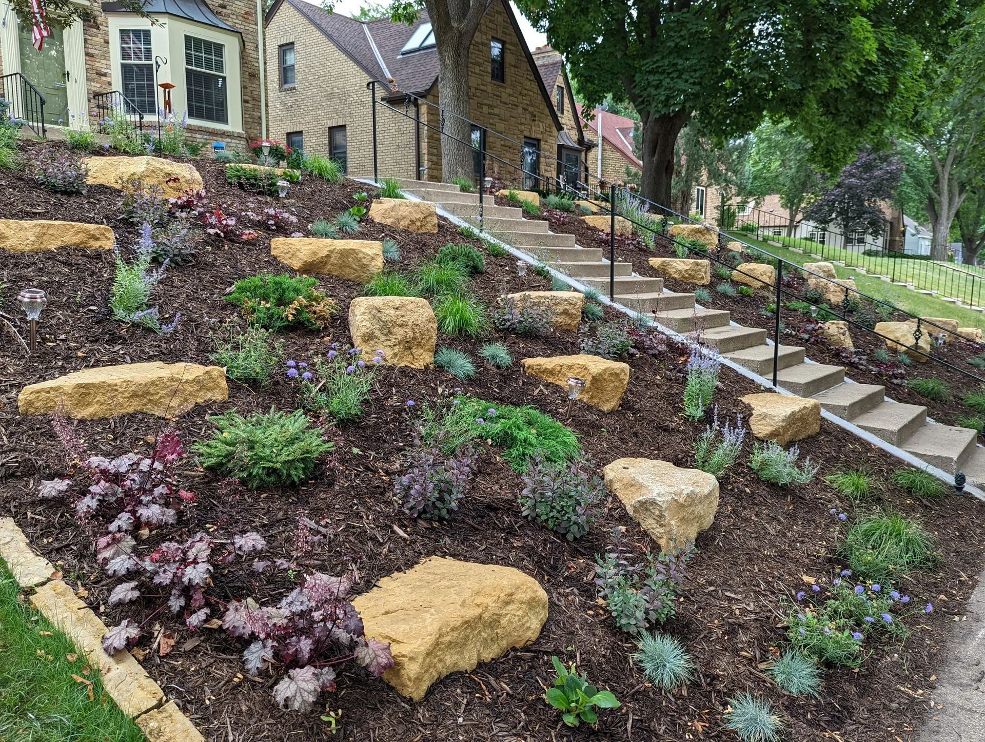 Hillside front yard in Minneapolis with limestone boulder outcroppings, plantings, and brown mulch