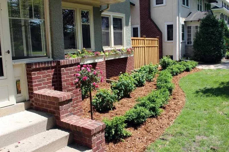 Raised brick planter with roses and a boxwood hedge along the front of a 1902 house at 50th and Lyndale, Minneapolis