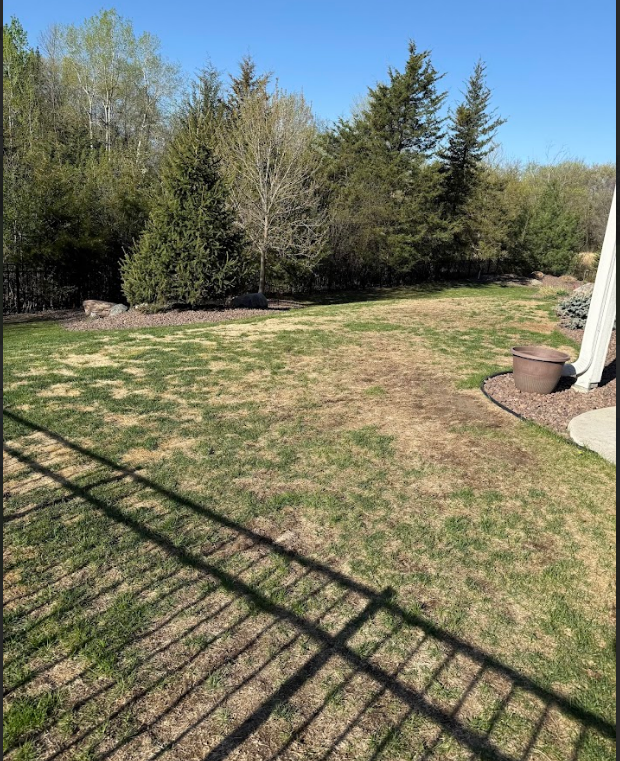 The inability of the soil to adequately take in water and nutrients led to bare patches throughout the lawn.