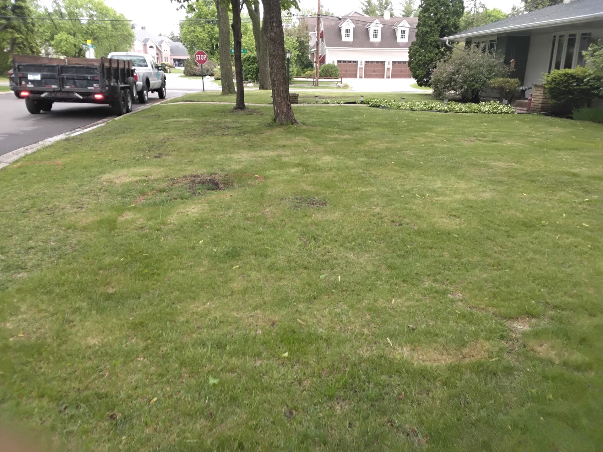 Example of a patchy front lawn in the Twin Cities before treatment.