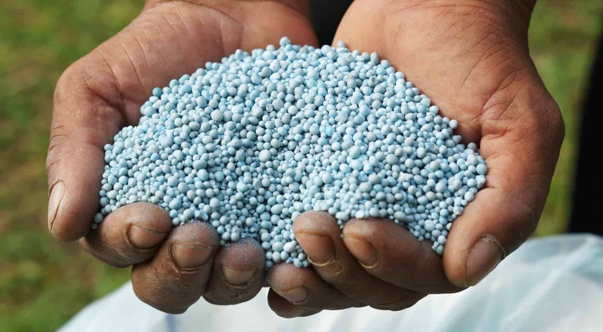 Hands holding handful of blue fertilizer pellets.