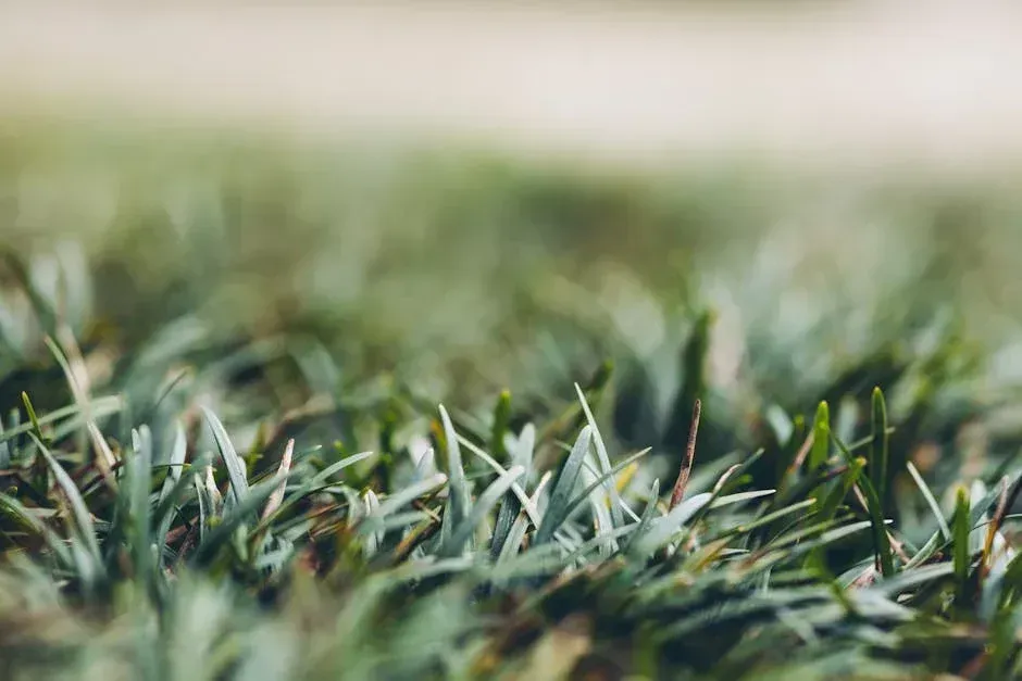 Close-up of green grass blades with a blurred background of a beige hue.