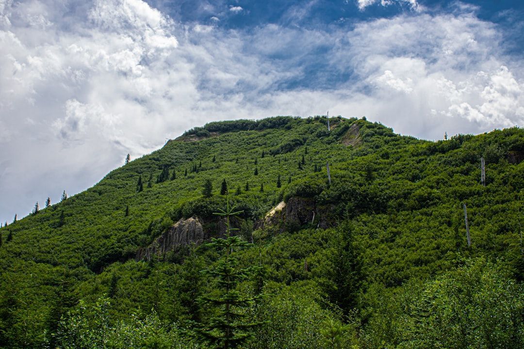 Green mountain covered in trees, under a cloudy blue sky.