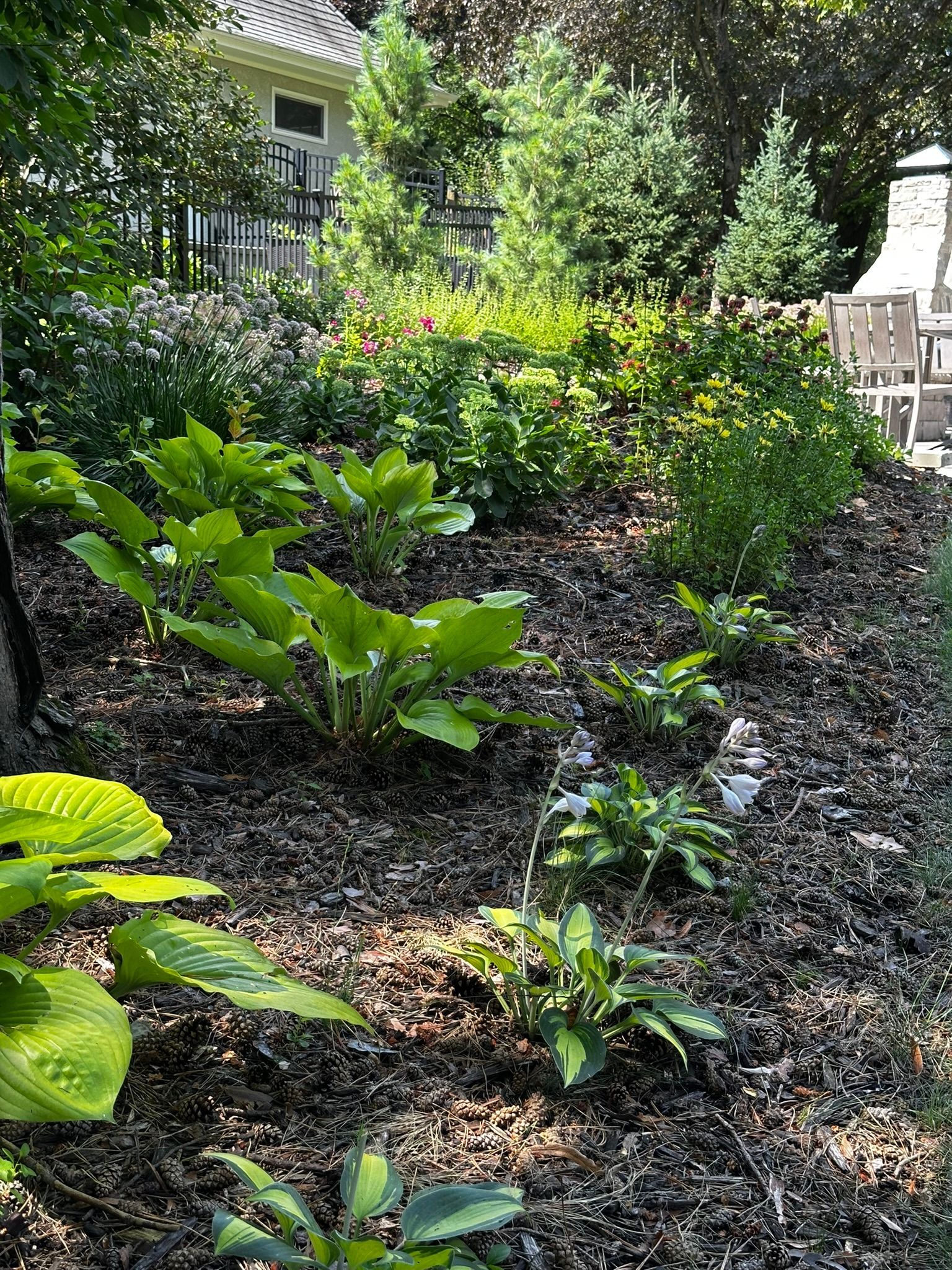 Foliage providing backyard privacy. 