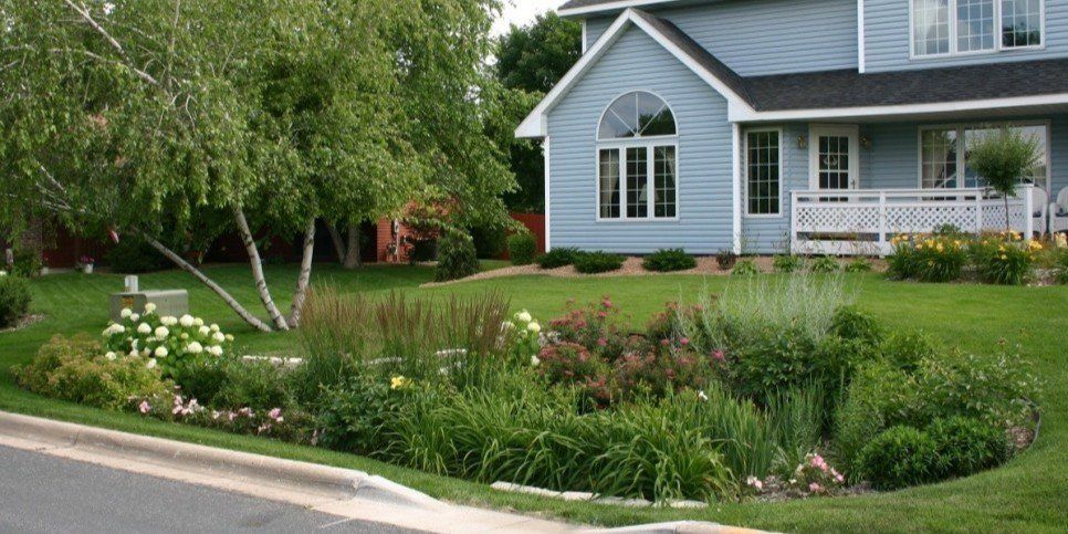 Rain garden at a home in lawn with native plants and flowers in the rain garden