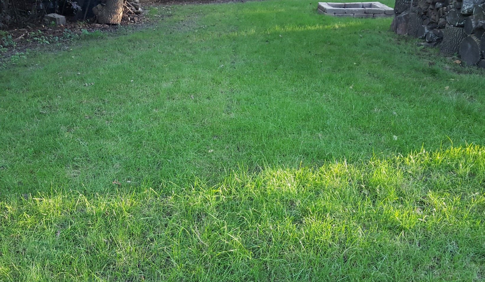 A lush green lawn with a fire pit in the background.