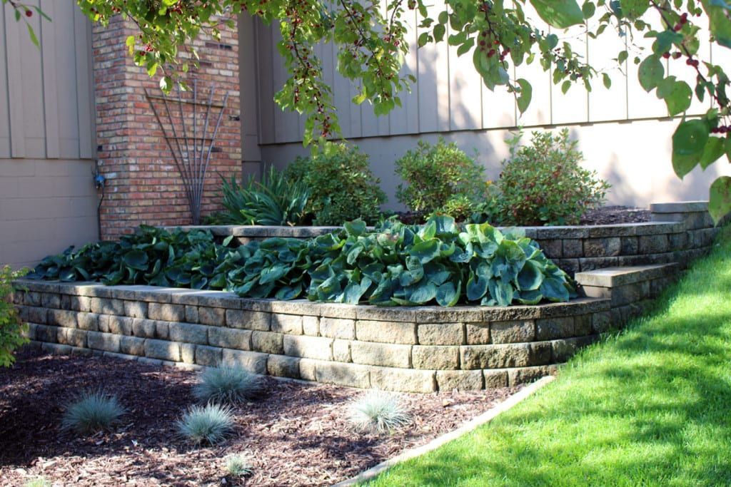 A garden with a brick wall and a tree in the background