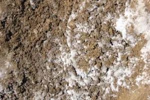 Brown soil with white salt deposits.