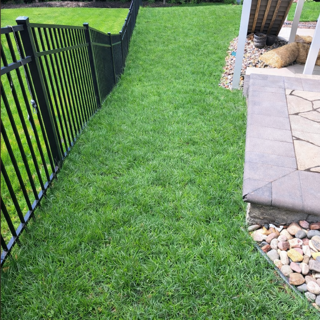 A strip of green grass sits between a black metal fence and a stone patio with a gravel border.