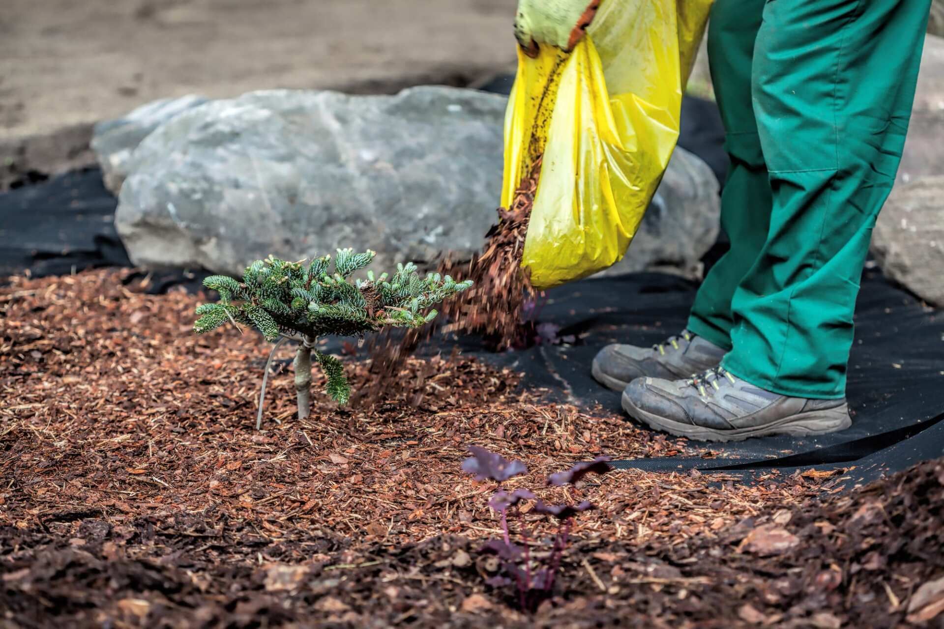Person in green pants and gloves mulching a garden bed.
