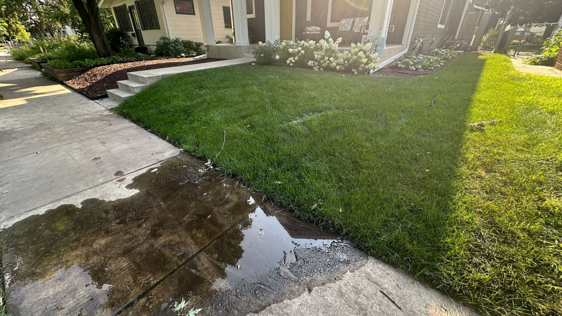A sidewalk with a large puddle of water next to a lush green lawn and the front steps of a house.