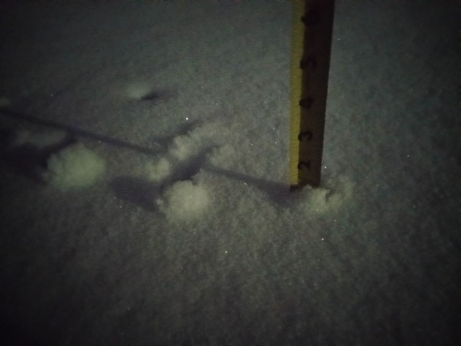 Tape measure checking snow depth for 1-inch plowing trigger in Minnesota