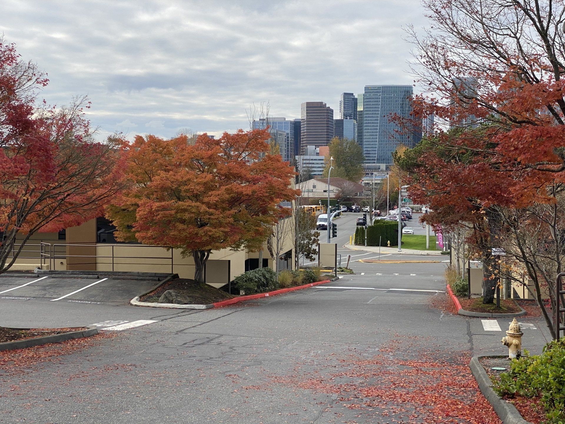 Parking lot and street view of Park 120 Building in Bellevue WA