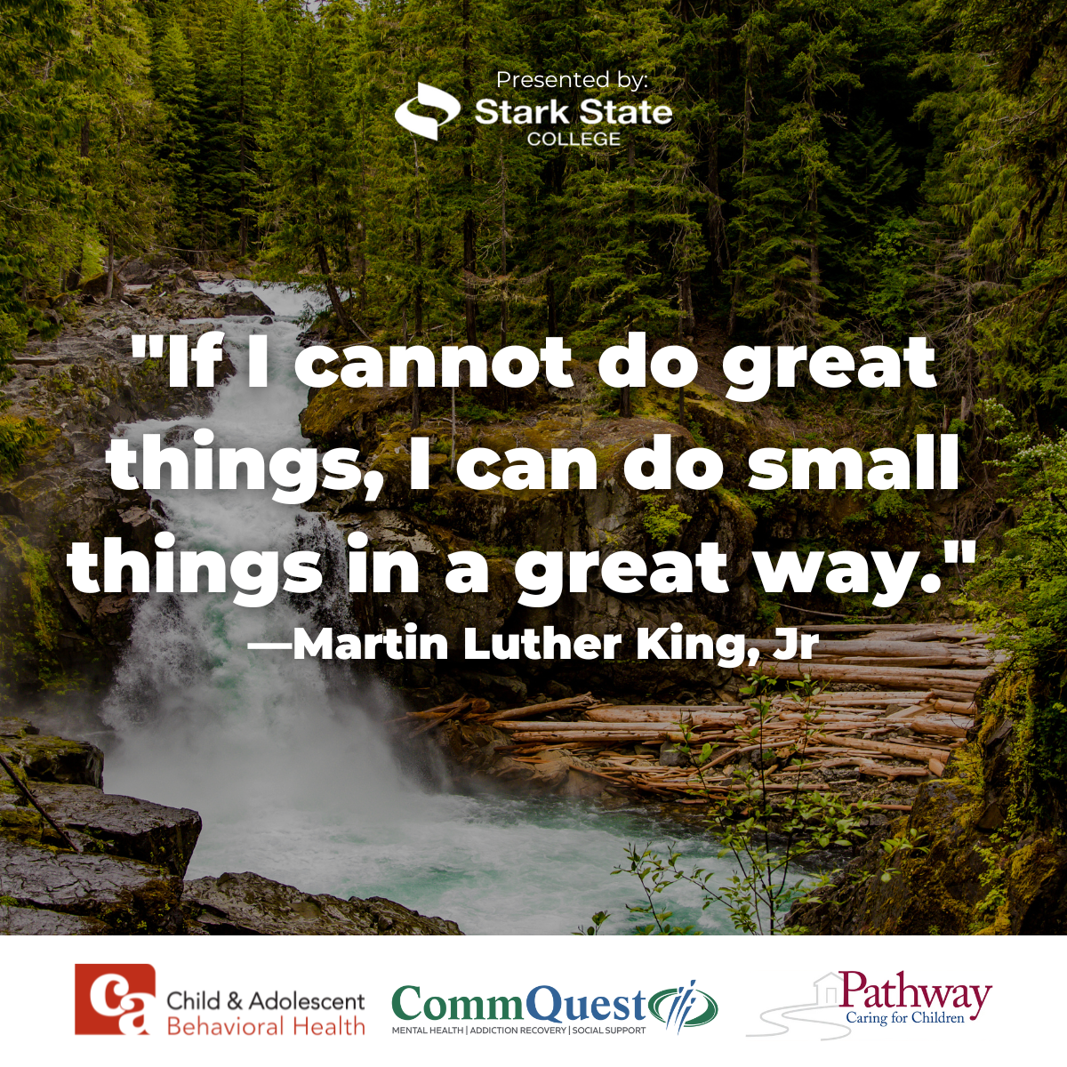 Martin Luther King Jr. quote: 