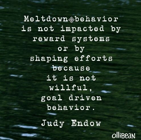 Quote about meltdowns: