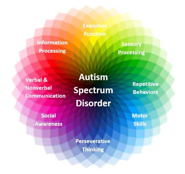 Diagram illustrating Autism Spectrum Disorder, showing various areas affected.