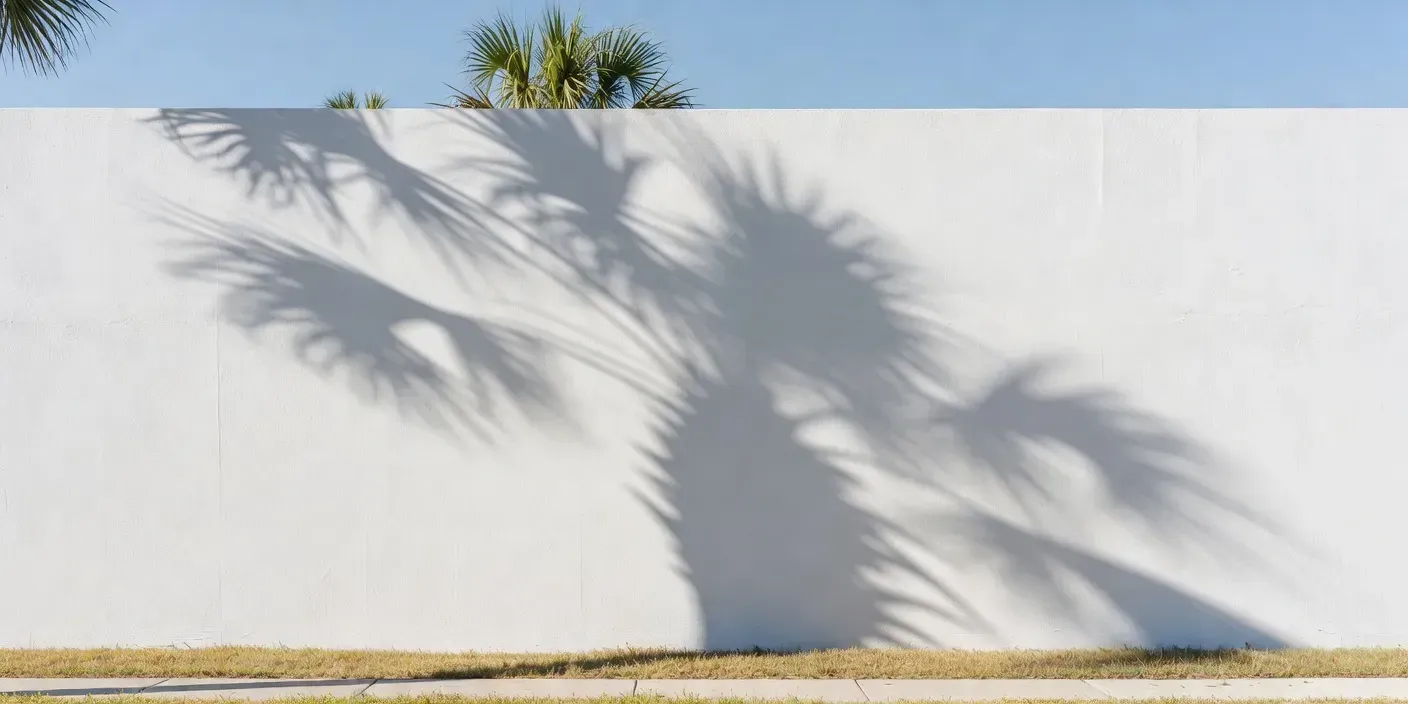 freshly painted stucco home exterior in bright Dunedin Florida sunlight with palm shadows on the wall
