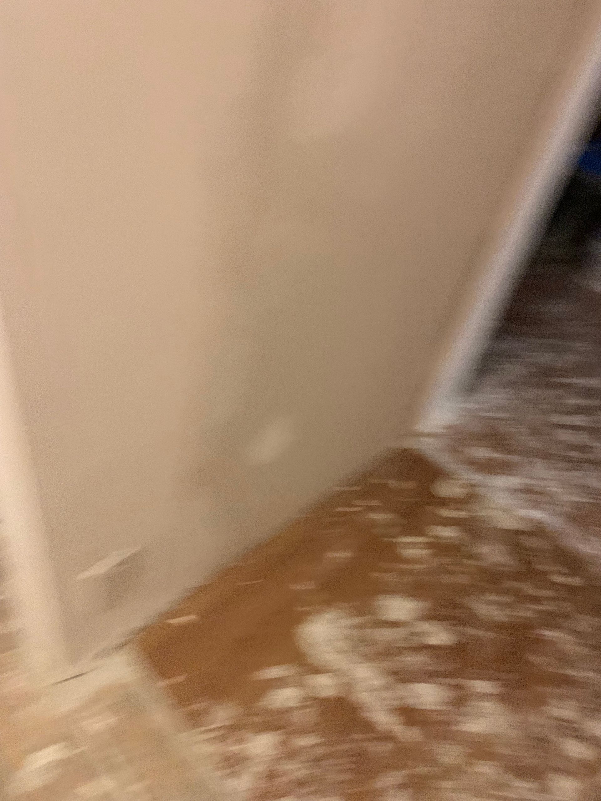 A blurred image of a person walking down a hallway.