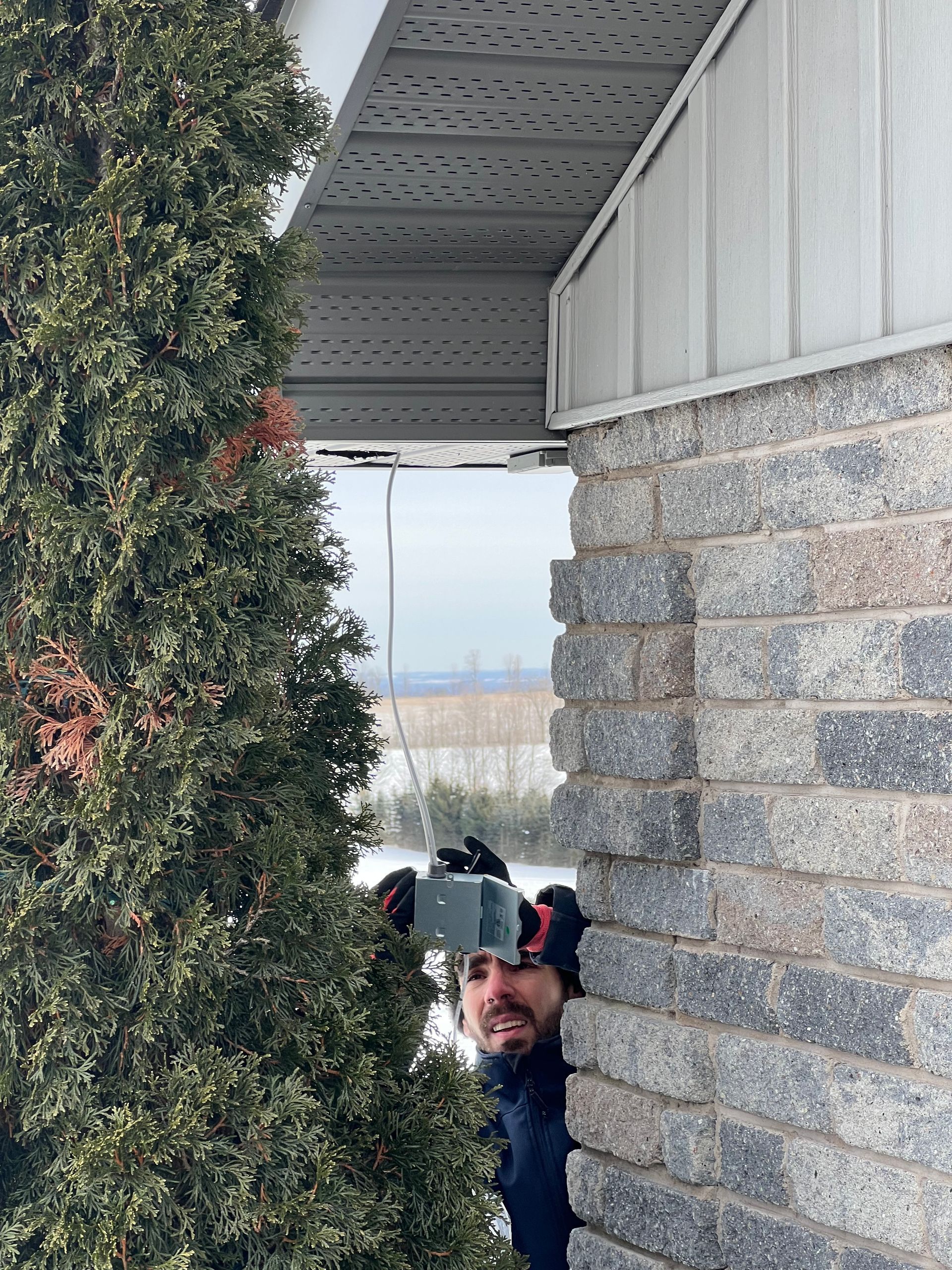 A man is taking a picture of a tree with a camera.