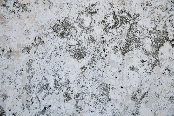 Two people inspect mold damage on a wall during a home inspection