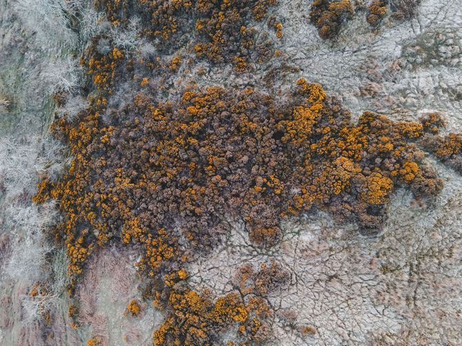 Yellow gloved hand scraping black mold from a dirty wall with a putty knife