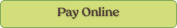 pay online button