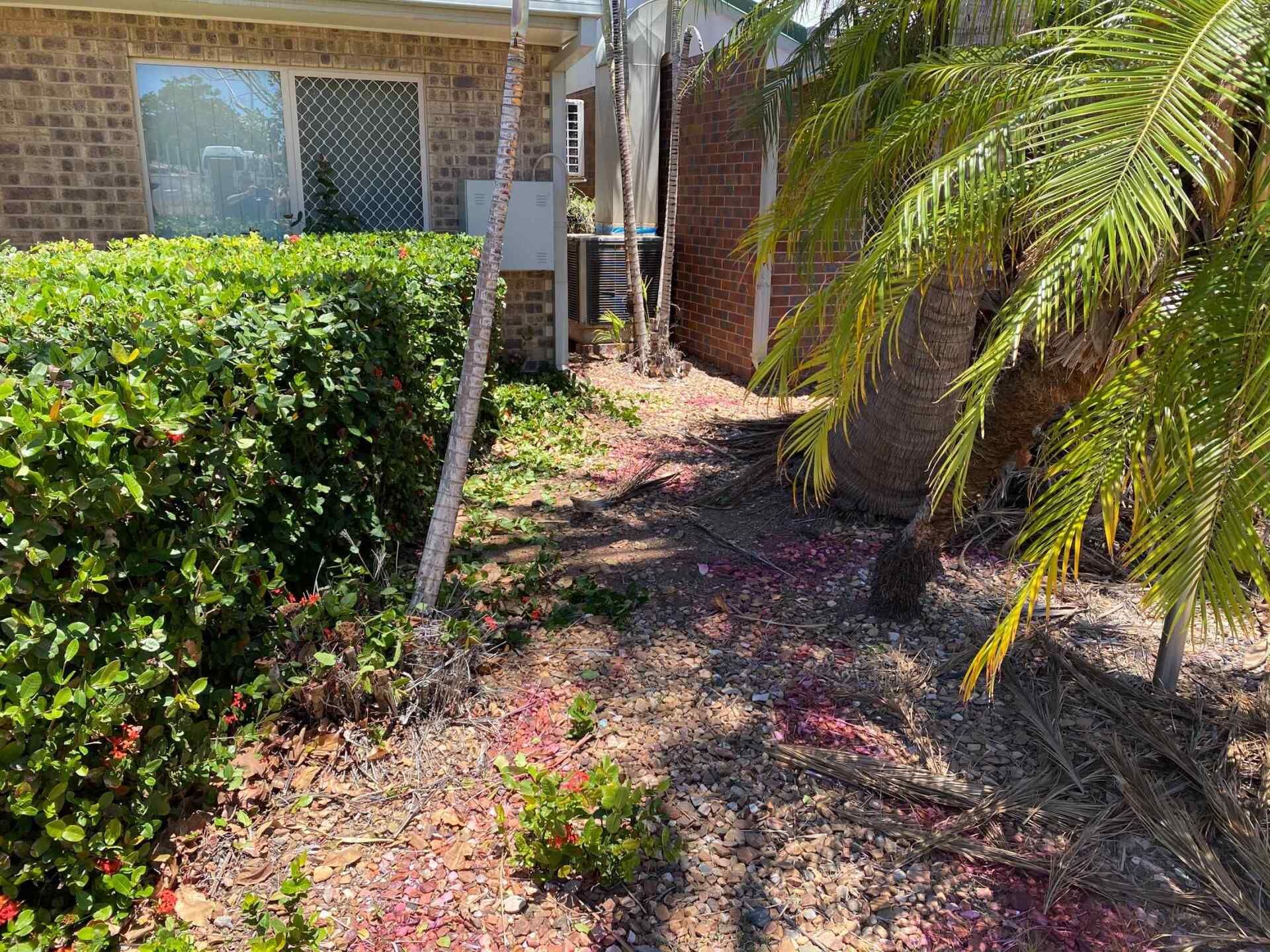 Pathway Between a Brick Building and a Palm Tree — Darrell's Mowing Services in Sunset, QLD