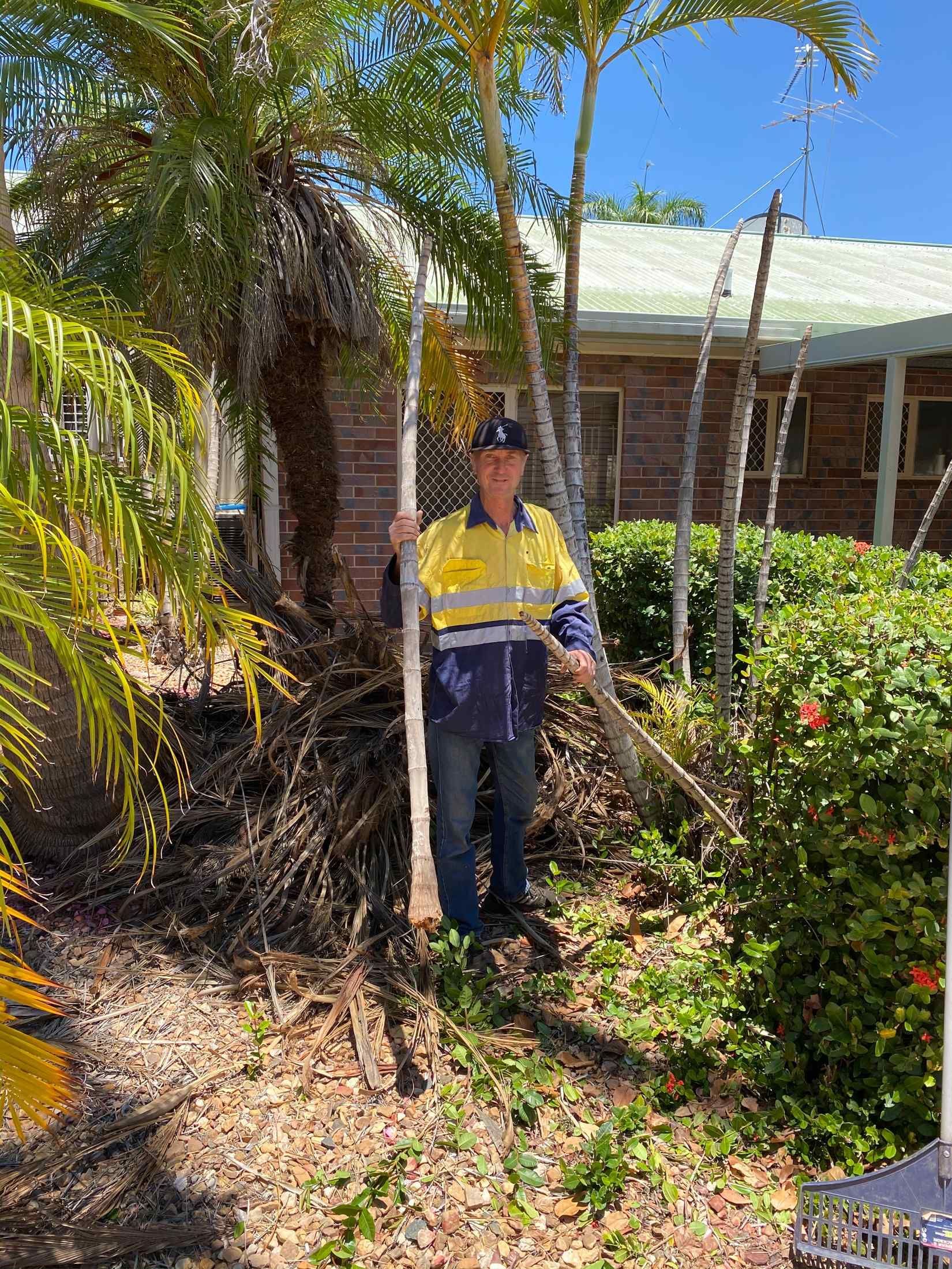 Man in High-vis Holding Palm Trunk, Standing in Front of Palm Trees — Darrell's Mowing Services in Sunset, QLD