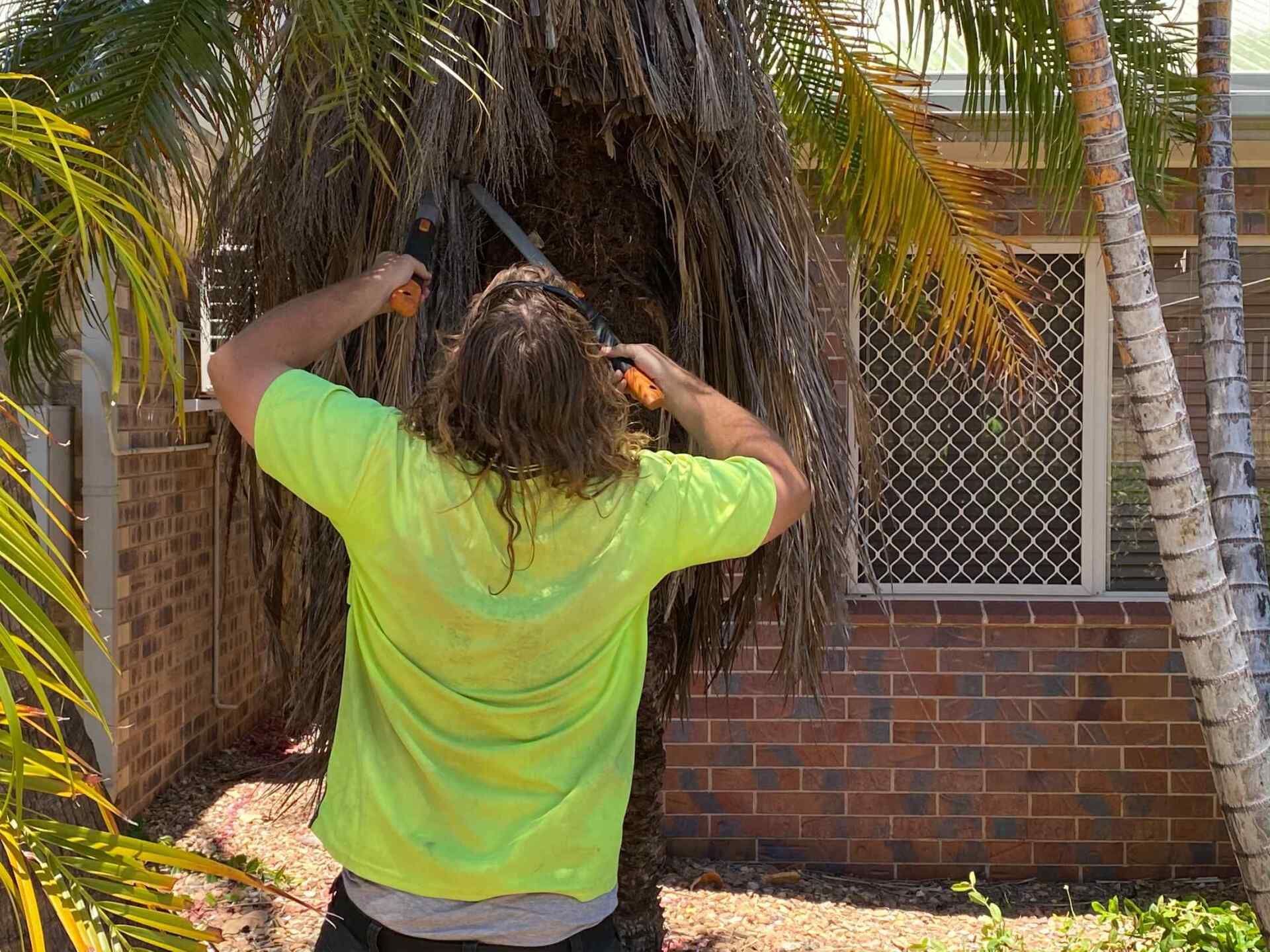 Man in Green Shirt Trimming Palm Tree With Saw — Darrell's Mowing Services in Sunset, QLD