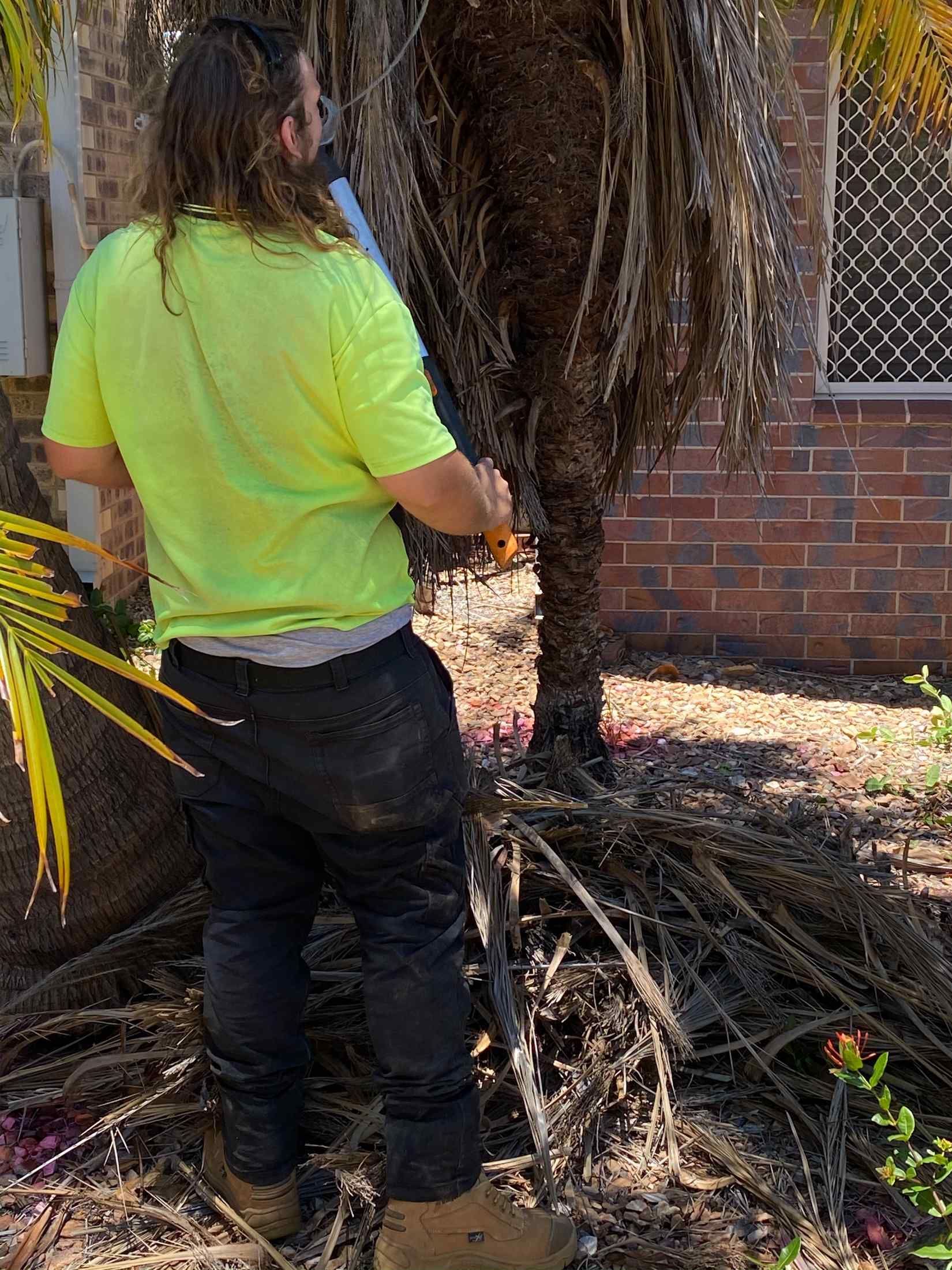 Person in Yellow Shirt Trims a Palm Tree With a Tool — Darrell's Mowing Services in Sunset, QLD