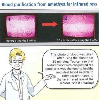Infographic claims BioMat far infrared rays changed blood cells after 30 minutes, with before-and-after photos.
