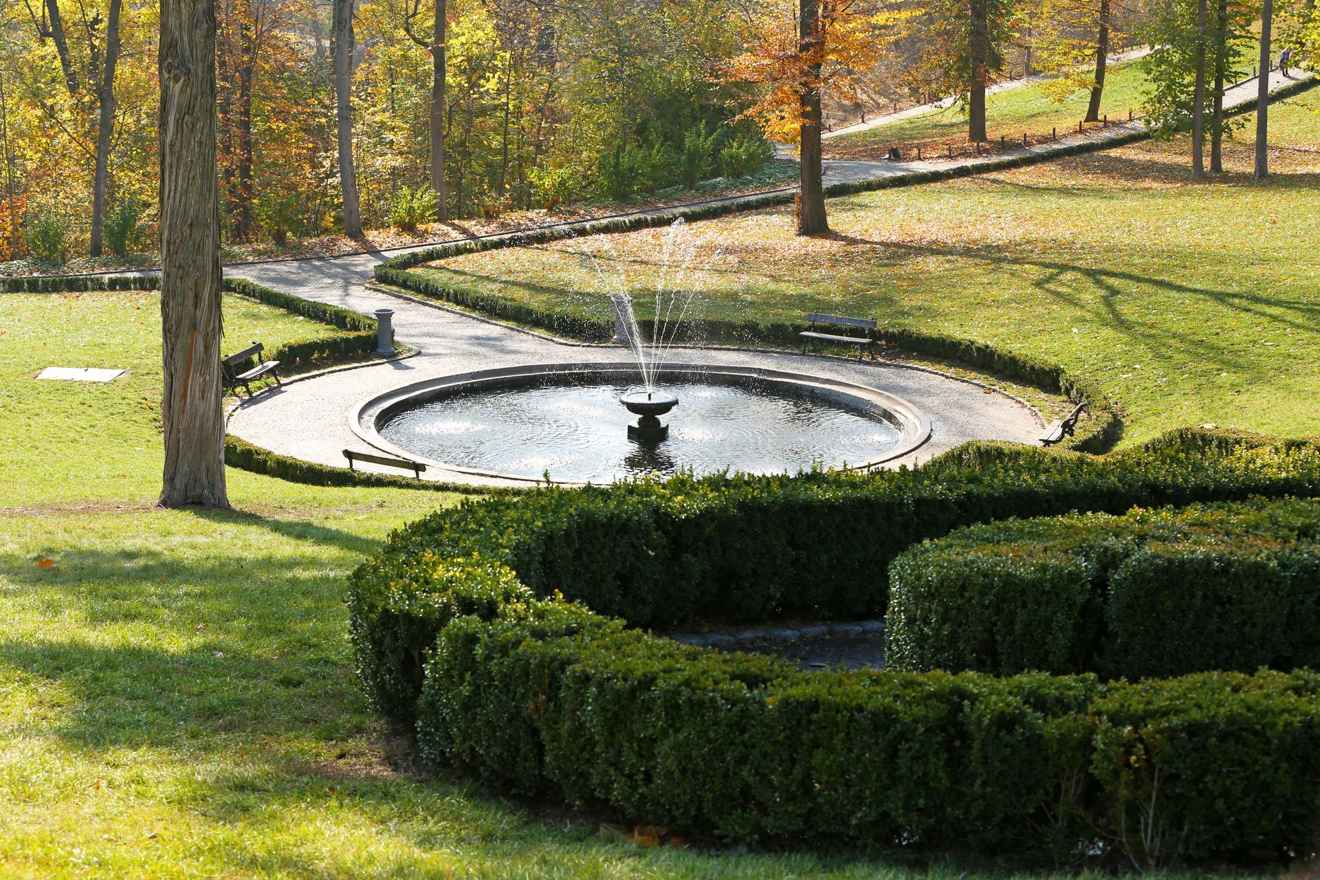 There is a fountain in the middle of the park surrounded by bushes.