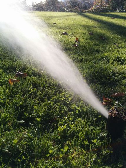 a sprinkler spraying water on the grass