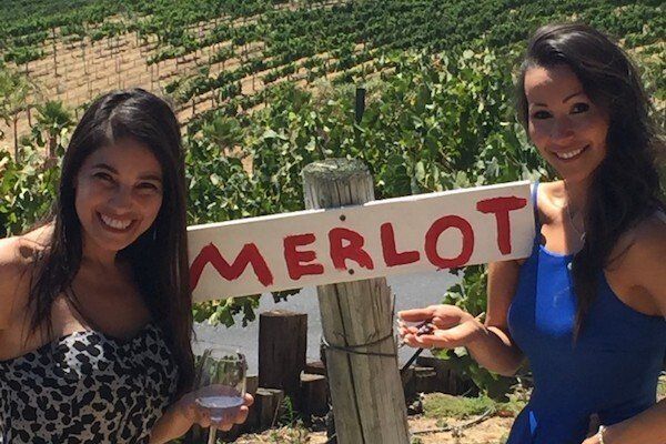 wine tasting tours